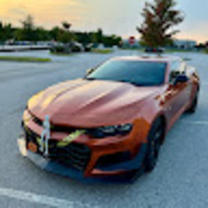 Meet your Posher, Scarlett